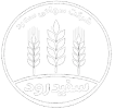 مضارب الأرز سفيد رود